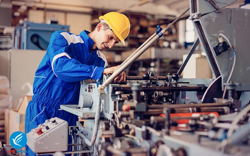 Bài 2: Xu hướng XKLD Úc trong những năm gần đây